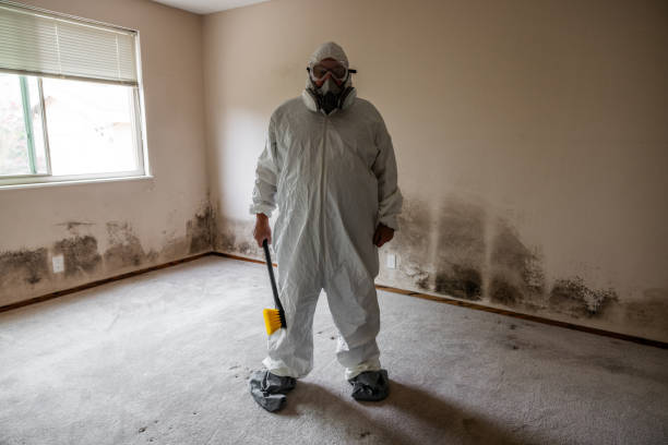 Best Residential Mold Inspection & Testing  in Metter, GA